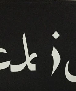 Bare Arms Gear Fuck Isis Sticker Stickers