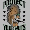 Bare Arms Gear Protect Your Nuts Sticker